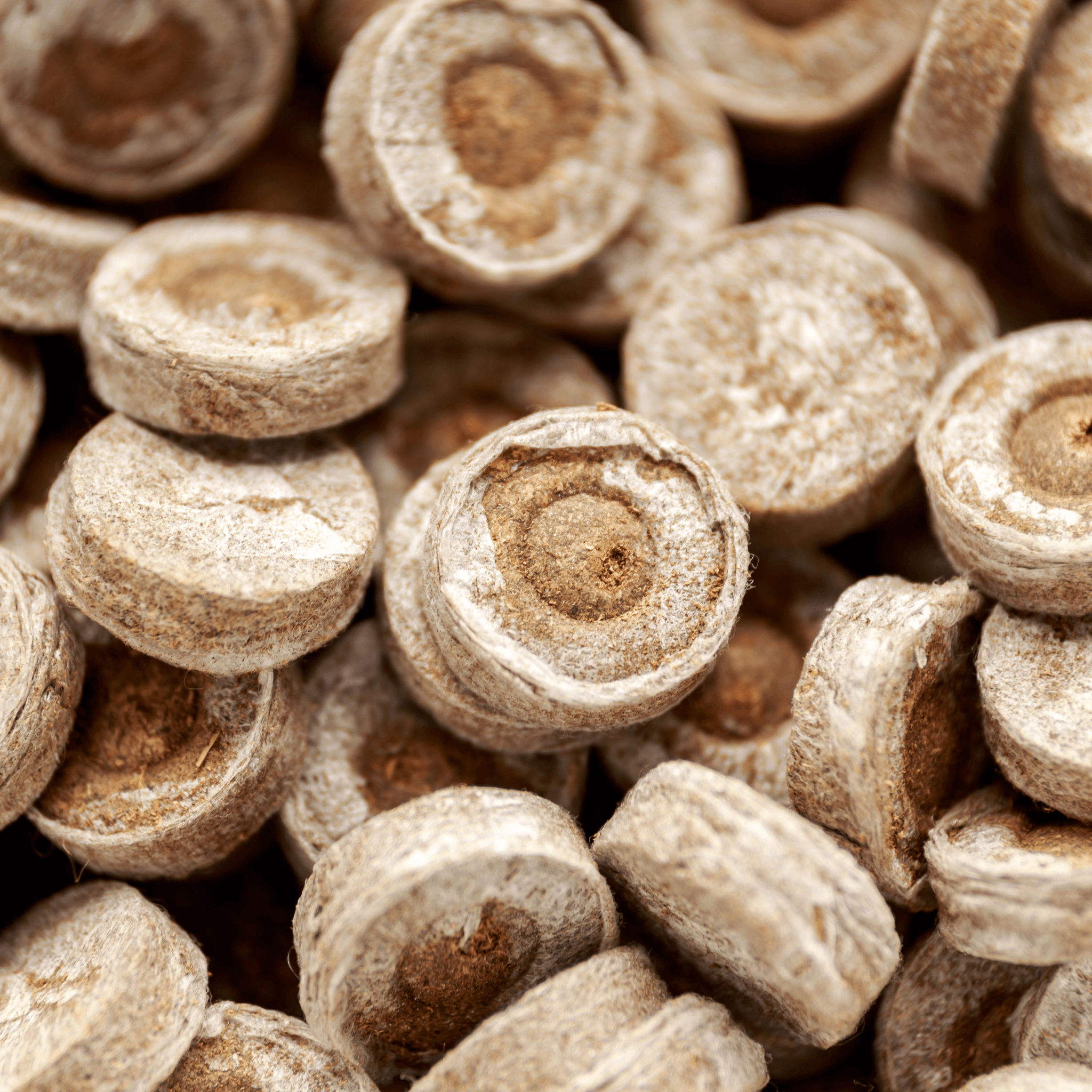 Jiffy Pellet